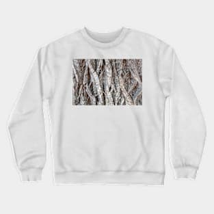 Tree bark background Crewneck Sweatshirt